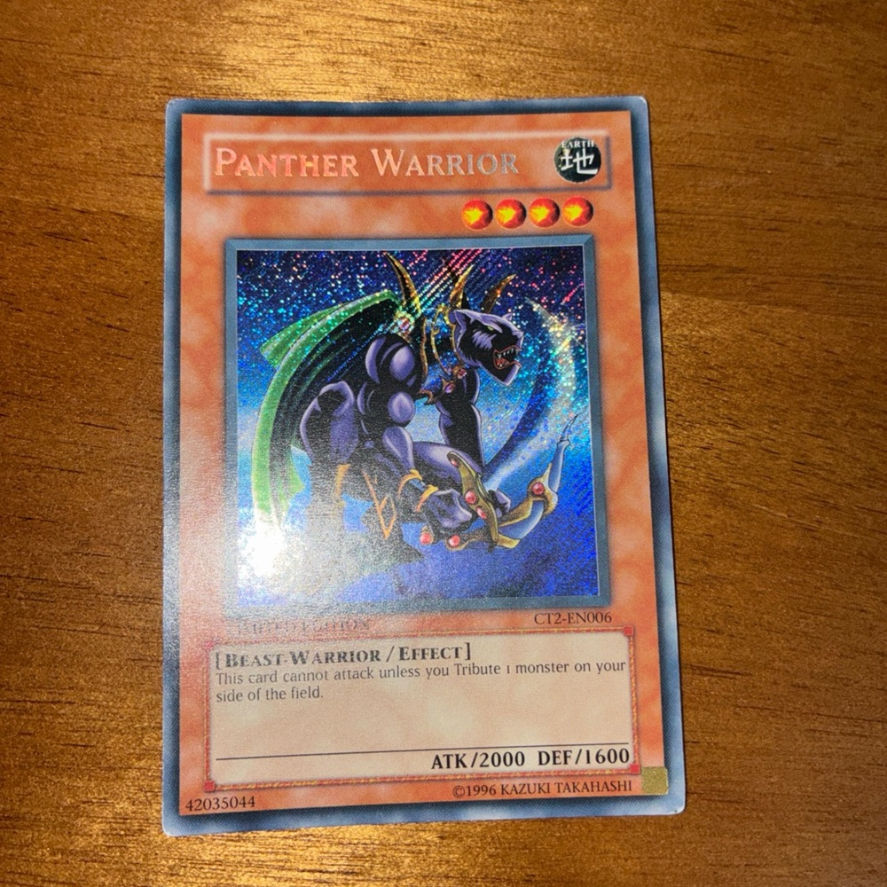 Panther Warrior Trading Card
